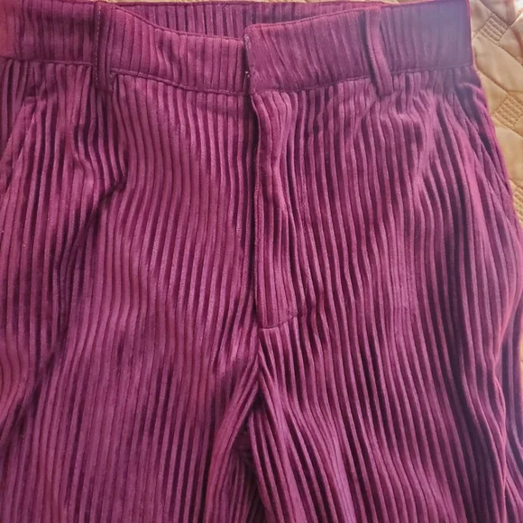 Urban Outfitters Maroon Corduroy Pants - Picture 3 of 5
